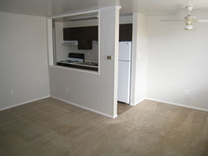 Living Room with Typical Kitchen in back